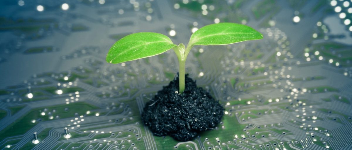 Green IT: Warum sich refurbished Hardware für Unternehmen lohnt